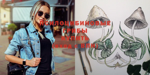хмурый Балабаново
