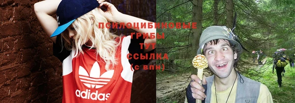 скорость Баксан