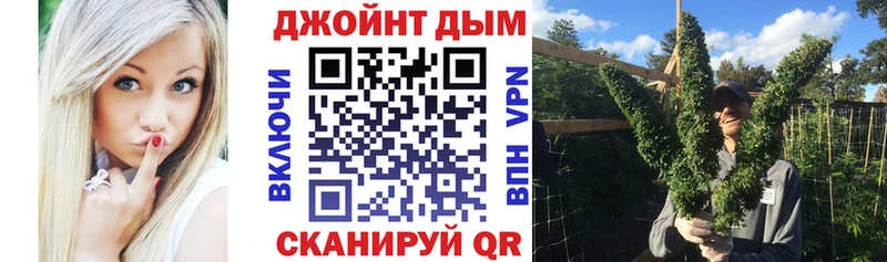 Шишки марихуана конопля Щёкино